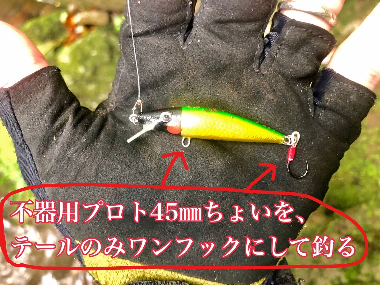 尺イワナに味を占めてまた尺イワナ！渓流ワンフックミノーで – 渓流