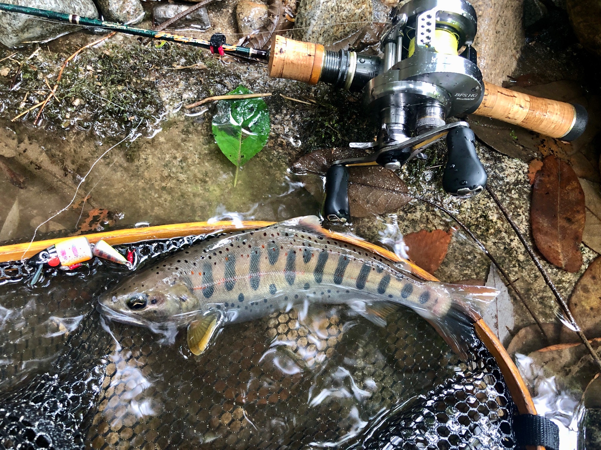 ヤマメかアマゴか？そんな事はどうでも良い時だってあるのだ。 – 渓流