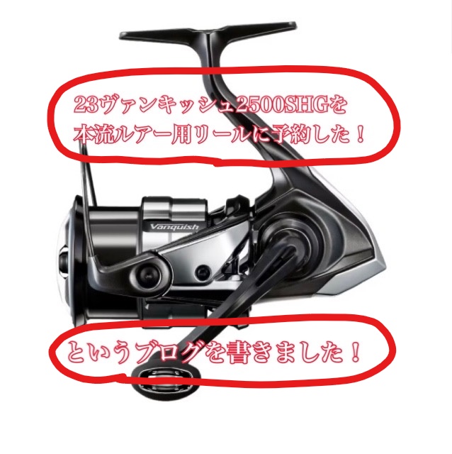 23ヴァンキッシュ 3000mhg 未使用に近い 茶色