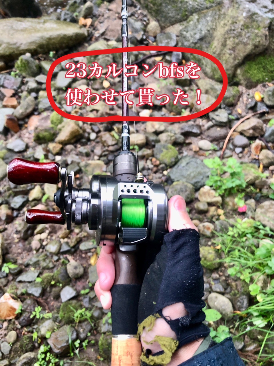 23 カルカッタコンクエストBFS LEFT XG 美品 SHIMANO 23 カルカッタコンクエスト BFS XG