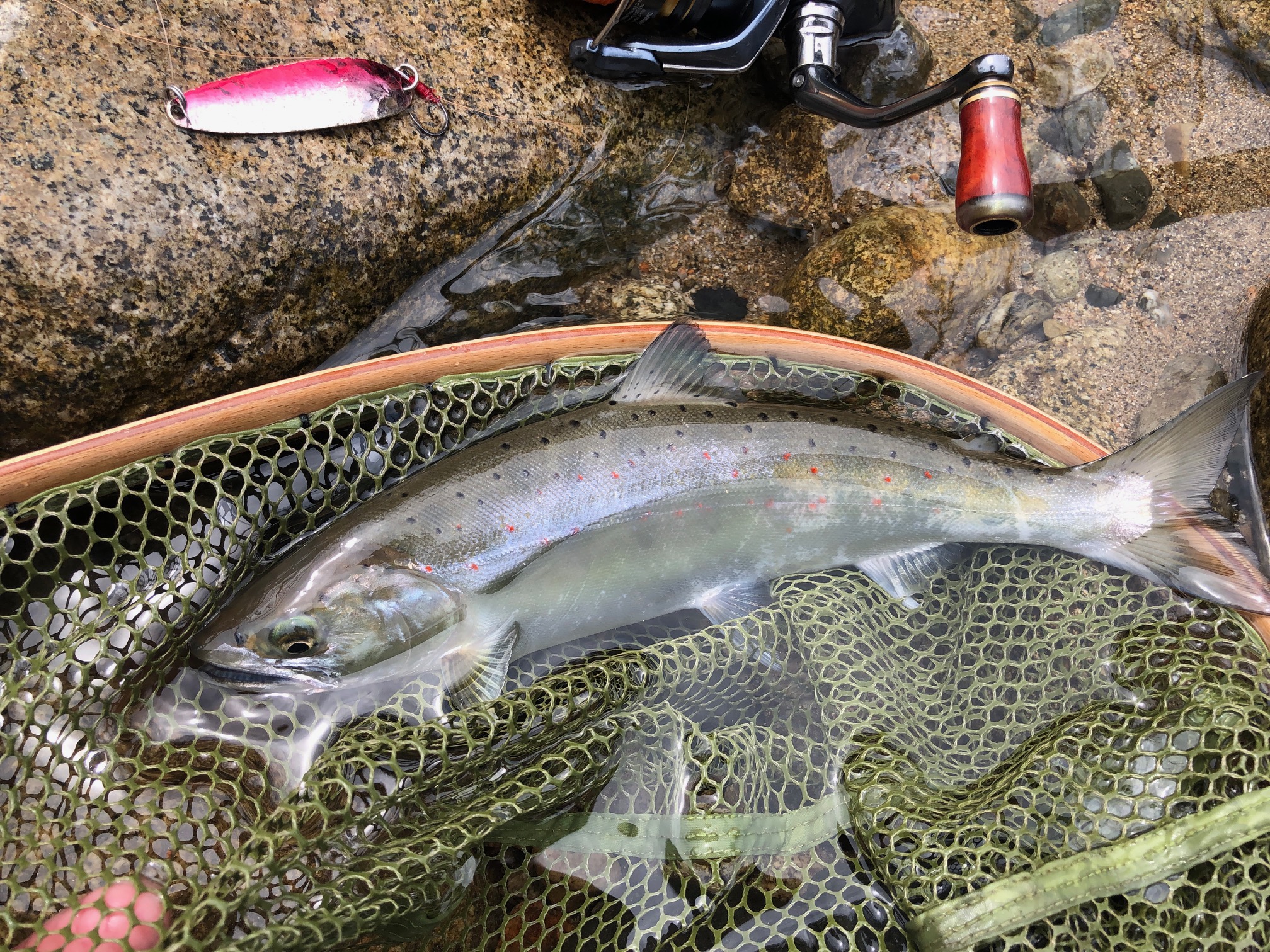 Cherry CR50UL トラウトロッド テンリュウ　渓流ミノー　鱒の森 Cherry CR50UL トラウトロッド テンリュウ 渓流ミノー 鱒の森